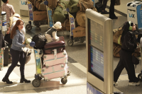 Ιστορικό social media, τηλέφωνα, στοιχεία συγγενών: Τι ζητά ο Τραμπ για την είσοδο στις ΗΠΑ