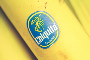 H Chiquita κυνηγά τους συνδικαλιστές: Απέλυσε 5.000 εργάτες στον Παναμά