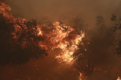 Τεράστια η φωτιά στη Φυλή: Καίγονται σπίτια, εκκένωση προς Άνω Λιόσια - Έκλεισε η Αττική Οδός