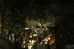 Πώς θα λειτουργήσουν σούπερ μάρκετ και καταστήματα παραμονή Χριστουγέννων