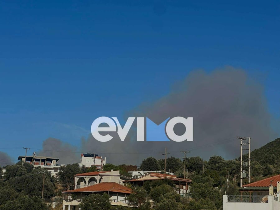 Φωτιά τώρα στην Εύβοια (εικόνες-βίντεο)