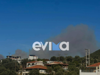 Φωτιά τώρα στην Εύβοια (εικόνες-βίντεο)