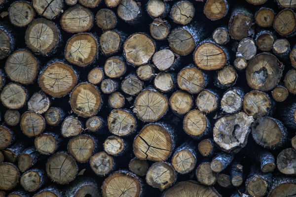 Γεωργιάδης: Έρχεται πλαφόν στο κέρδος για ξύλα και πέλετ (βίντεο)