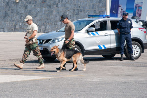 Σύλληψη 23χρονου στη Μυτιλήνη για παράνομη κατοχή όπλου, πού το είχε κρύψει (video)