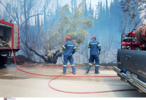 Φωτιά τώρα στην Κορώνα Κιλκίς, επιχειρούν και εναέρια μέσα