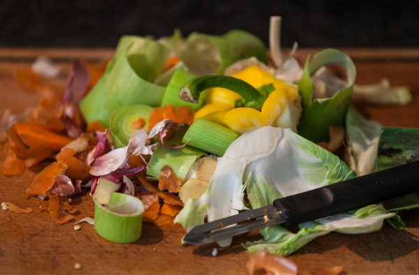 πηγη φωτογραφίας: Elizabeth Dalziel_ WWF-UK