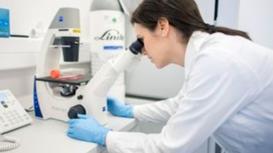 «Δεν υπάρχουν αποδείξεις αναφορικά με την προέλευση της COVID από τα ζώα»