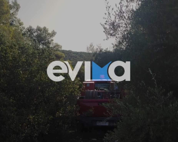 Υπό έλεγχο τέθηκε η φωτιά στην Εύβοια
