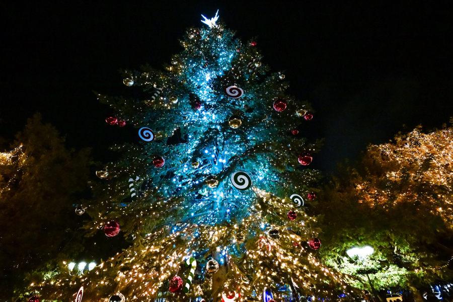 Ανάβει το χριστουγεννιάτικο δέντρο στο Σύνταγμα - Live εικόνα