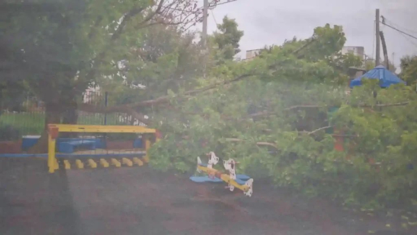 Ελευσίνα: Τα σχολεία εκπέμπουν SOS – 3 χωρίς τουαλέτες, μαθητές γλίτωσαν από πτώση κλαδιού (εικόνα)