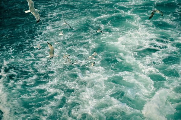 Η ακρίβεια τρώει τον παρά: Θάλασσα με το κυάλι θα δουν φέτος οι μισοί Έλληνες - Ερευνα