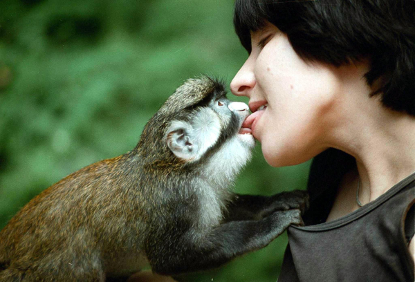 Το πρώτο φιλί δόθηκε πριν 20 εκατομμύρια χρόνια