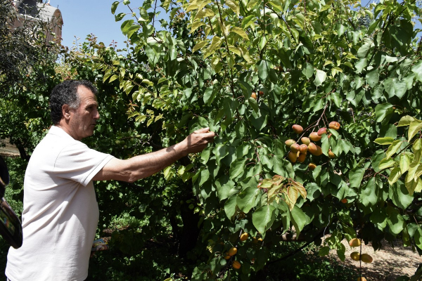 Ο ΕΛΓΑ προσλαμβάνει 140 γεωπόνους για εκτιμήσεις ζημιών