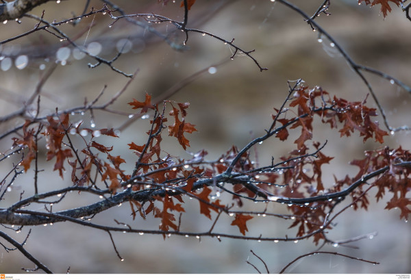 Καιρός: Φθινοπωρινό σκηνικό με βροχές και καταιγίδες