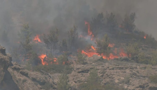 Φωτιά στο Λασίθι: Συνελήφθη 35χρονος που έκαιγε λιόκλαδα - «Στάχτη» 2.000 στρέμματα γης