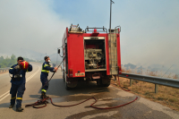 Πυροσβεστική: Τρεις συλλήψεις για τις φωτιές σε Πέραμα, Ροδόπη και Αργολίδα
