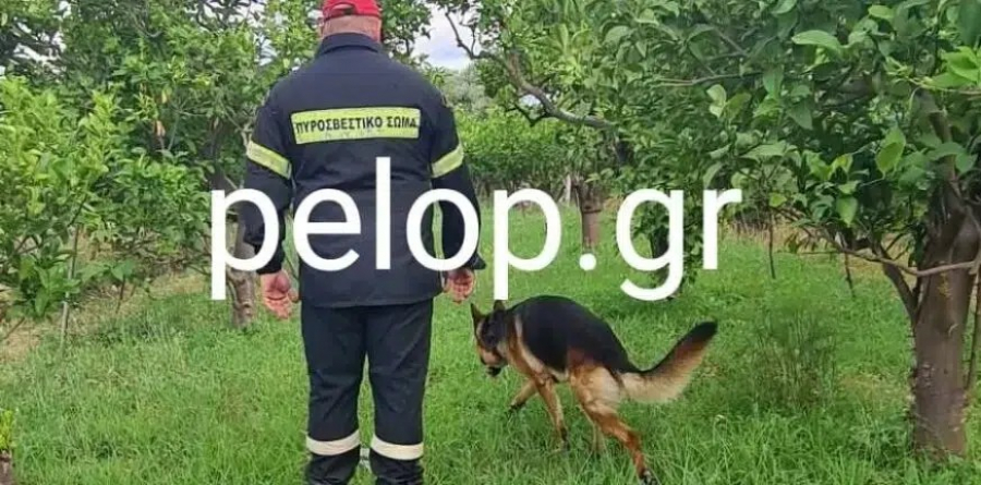 Θρήνος στην Αιγιάλεια: Εντοπίστηκε νεκρός 71χρονος μέσα σε δεξαμενή στην αυλή του