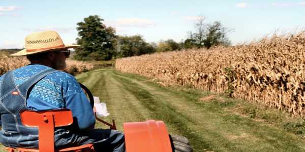 Ως τις 31 Ιουλίου η ολοκλήρωση συγχώνευσης των Αγροτικών Συνεταιρισμών