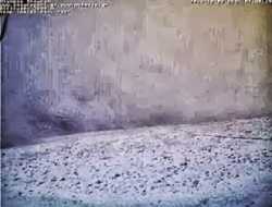 Χιόνισε χθες βράδυ - Δείτε σε ποιο μέρος της Ελλάδας...