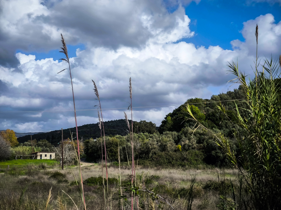 Ήπιος ο καιρός σήμερα Σάββατο - Η πρόγνωση της ΕΜΥ