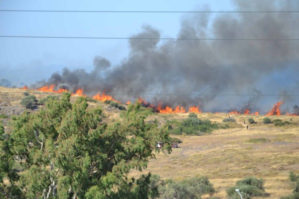 Ισχυρές δυνάμεις επιχειρούν σε μεγάλη φωτιά στην Ηλεία