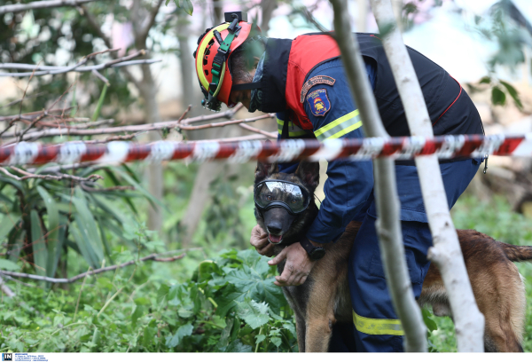 Κρήτη: Σκύλος και drone στις έρευνες για την εξαφάνιση της 49χρονης