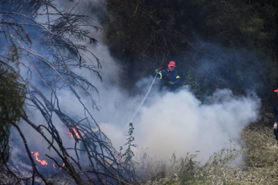 Φωτιά κοντά σε κατοικημένη περιοχή στον Πρόδρομο Βοιωτίας και μήνυμα προς τους κατοίκους από το 112
