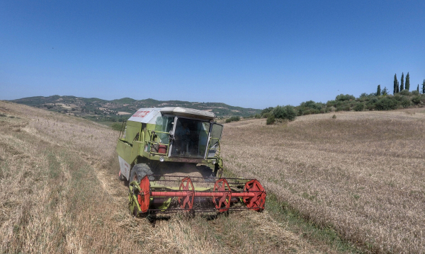 Από αύριο οι αιτήσεις για ενίσχυση των νεοεισερχόμενων κτηνοτρόφων με 4,1 εκατ. ευρώ