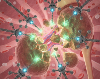 Ερευνητές στον Καναδά επιτίθενται στις πέτρες των νεφρών με έναν μικροσκοπικό στρατό από ρομπότ