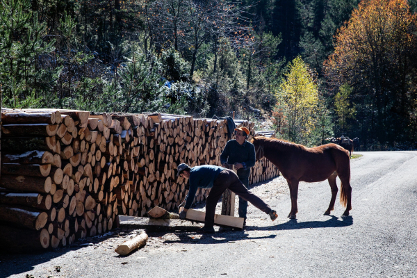 Ποιοι δικαιούνται δωρεάν καυσόξυλα για το χειμώνα