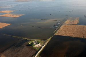 Τα επτά βήματα του ΥΠΑΑΤ για στήριξη των κτηνοτρόφων -Πότε οι αποζημιώσεις για τα ζώα