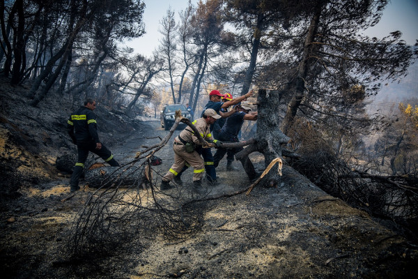Φωτιά στην Εύβοια: Σώθηκαν τα τέσσερα χωριά από την πύρινη λαίλαπα - Μάχη για τον περιορισμό της