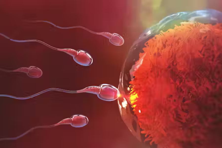 Εντοπίστηκαν υψηλά ποσοστά ζιζανιοκτόνου σε δείγματα σπέρματος