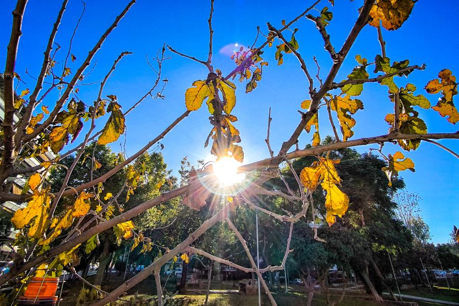 Αλλαγή σκηνικού για τον καιρό την Πρωτοχρονιά - Ήλιος και άνοδος θερμοκρασίας