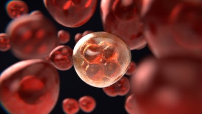 Νέα υποσχόμενη θεραπεία κατά του καρκίνου: Εξασθενημένος ιός του έρπητα μπορεί να «σκοτώσει» τους όγκους