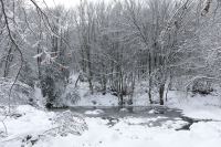 Καιρός τα Χριστούγεννα: Η μέρα με το περισσότερο κρύο, νέα πρόβλεψη με χιόνια και σε Αττική