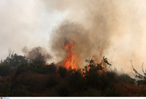 Φωτιά στον Όλυμπο σε δύσβατη περιοχή στην Καρυά, ενισχύθηκαν οι δυνάμεις