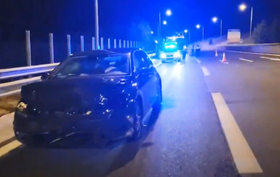 Κοζάνη: Τροχαίο με αρκούδα στην Εγνατία Οδό, σοβαρά τραυματισμένο το ζώο (βίντεο)