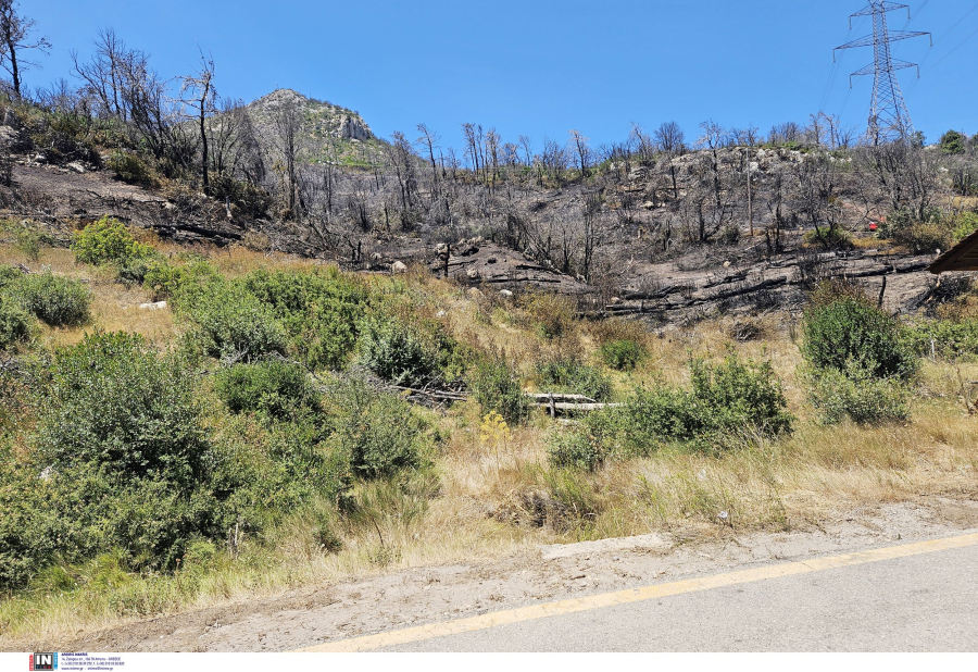 Εντοπίστηκαν ανθρώπινα οστά κατά τη διάρκεια κατάσβεσης φωτιάς στην Αμαλιάδα