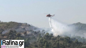 Φωτιά στο Πικέρμι: Έγινε μία σύλληψη για την πυρκαγιά