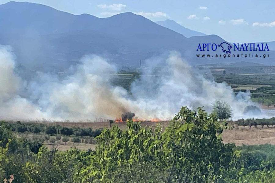 Φωτιά στην Πουλλακίδα Αργολίδας