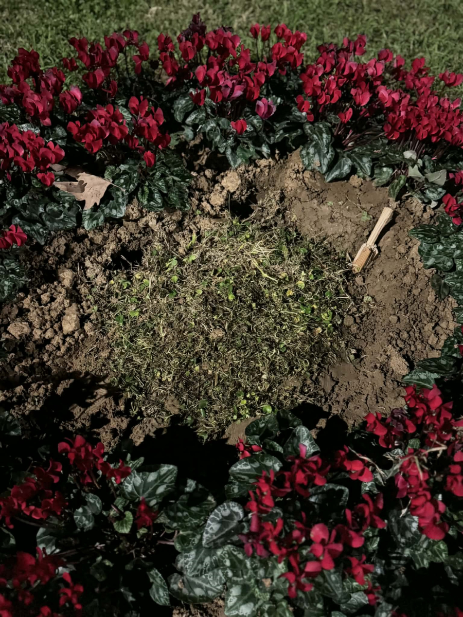 Θεσσαλονίκη: Άγνωστοι εξαφάνισαν τη μαρμάρινη πλάκα για τις κακοποιημένες γυναίκες δέκα μέρες μετά τα εγκαίνια