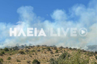 Οριοθετήθηκε η φωτιά στην Ηλεία