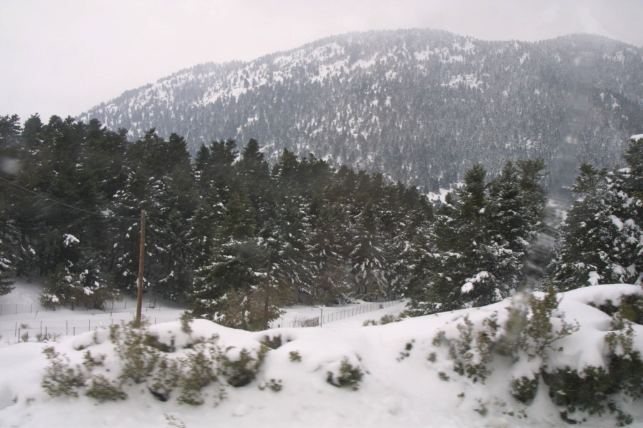 Πυκνές χιονοπτώσεις στη Στερεά Ελλάδα: Στα «λευκά» Φωκίδα, Ευρυτανία, Φθιώτιδα