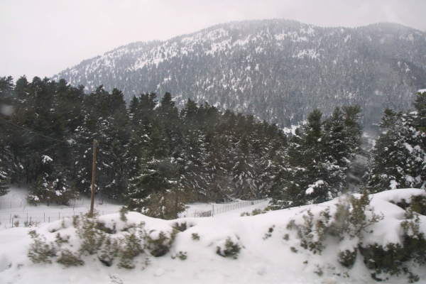 Πυκνές χιονοπτώσεις στη Στερεά Ελλάδα: Στα «λευκά» Φωκίδα, Ευρυτανία, Φθιώτιδα