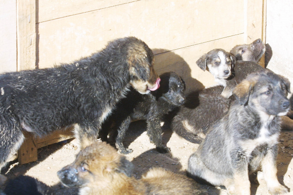 (Φωτ. αρχείου: EUROKINISSI)