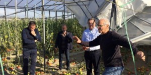 Η Περιφέρεια Κρήτης κήρυξε σε κατάσταση έκτακτης ανάγκης περιοχές που χτυπήθηκαν απ' τη σφοδρή ανεμοθυελλα