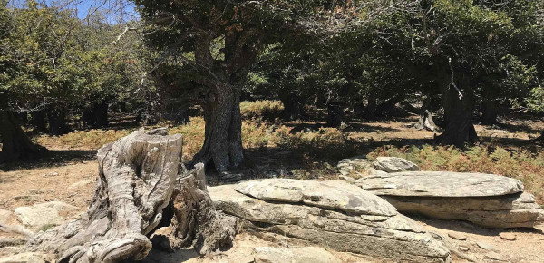 Καφηρέας: Αγώνας ορεινής ποδηλασίας για πρώτη φορά στην Ελλάδα σε αιολικό πάρκο (pic)