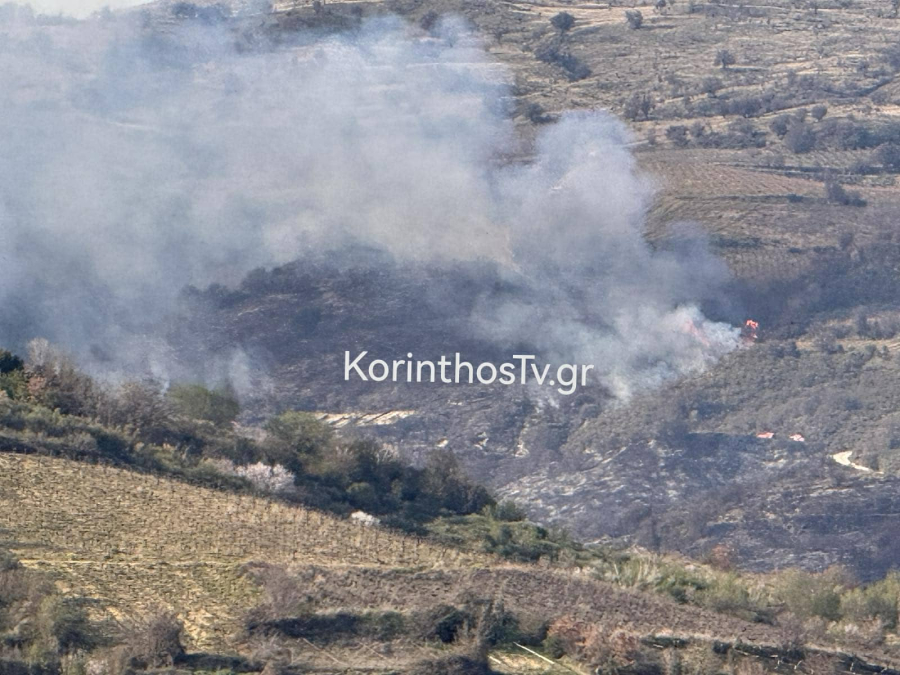 Τέθηκε υπό έλεγχο η φωτιά στα Σοφιανά Κορινθίας