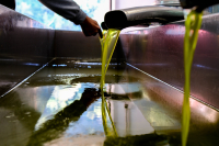 EU Auditors Warn of Serious Gaps in Greece’s Olive Oil Control System